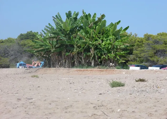 Tatiana فيلة كيوبارِسِيا