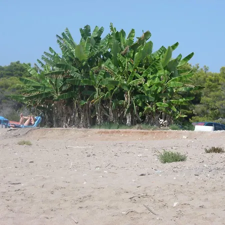 Tatiana Βίλα Κυπαρισσία