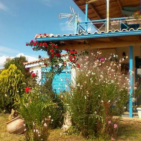 Tatiana * Κυπαρισσία